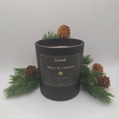 Bougie Sapin Walk in Canada de Calmdle be dans un verre noir avec branches de sapin et pommes de pin